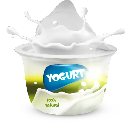  Yoghurt