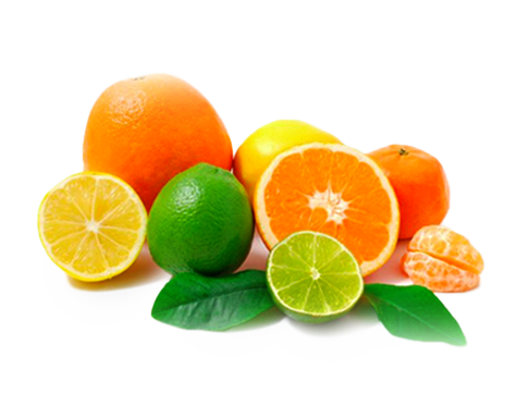 Citrus-processing-solutions