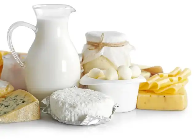 Dairy Products