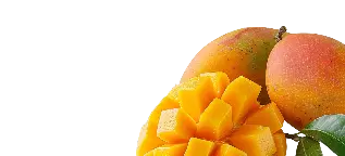 Mango mobile