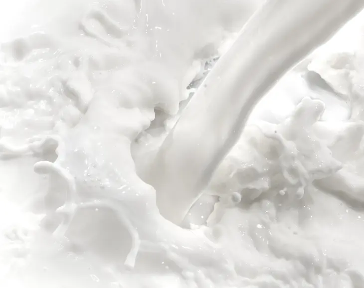 Pasteurization of Milk