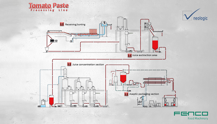 Tomato Processing Journey