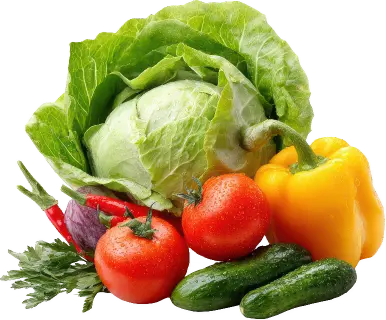 Why choose fnv processing manufacturer